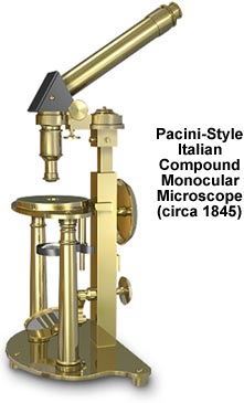 filippo pacini microscopio